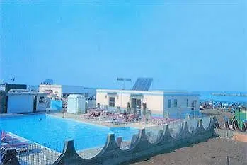 Orchidea تْشيزيناتيكو