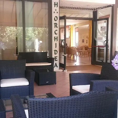 Orchidea 3*
